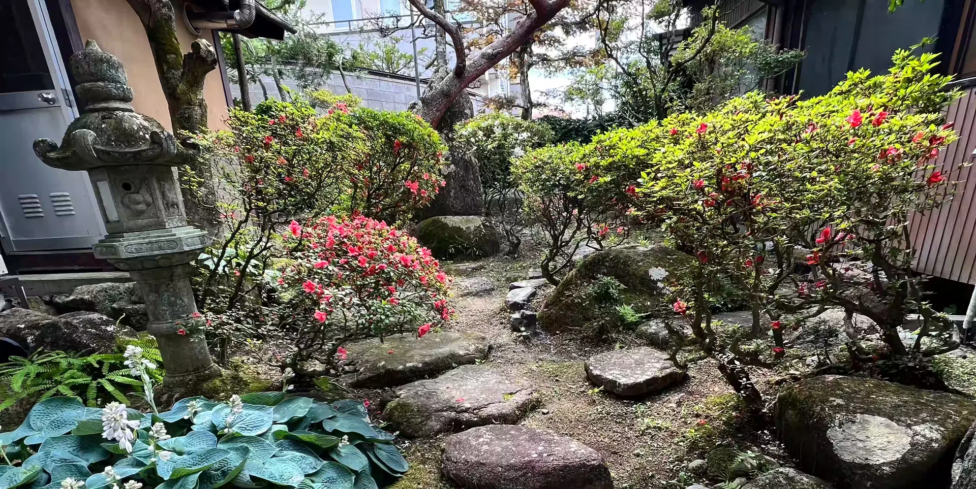 紫旅館 — 写真5